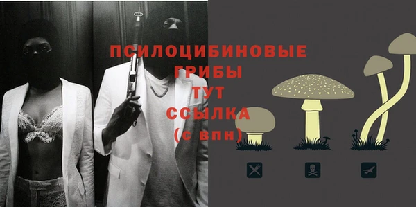 мяу мяу мука Краснослободск