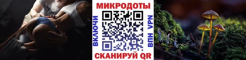 Псилоцибиновые грибы Psilocybine cubensis  кракен ССЫЛКА  Малгобек  купить наркотик 